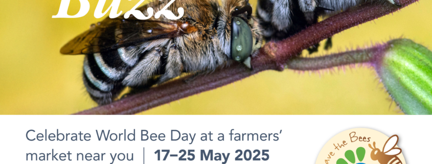 World Bee Day 2025