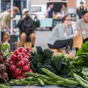 Screen shot 2017-07-27 at 4.21.55 PM