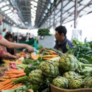 Screen Shot 2020-07-27 at 10.37.26 am